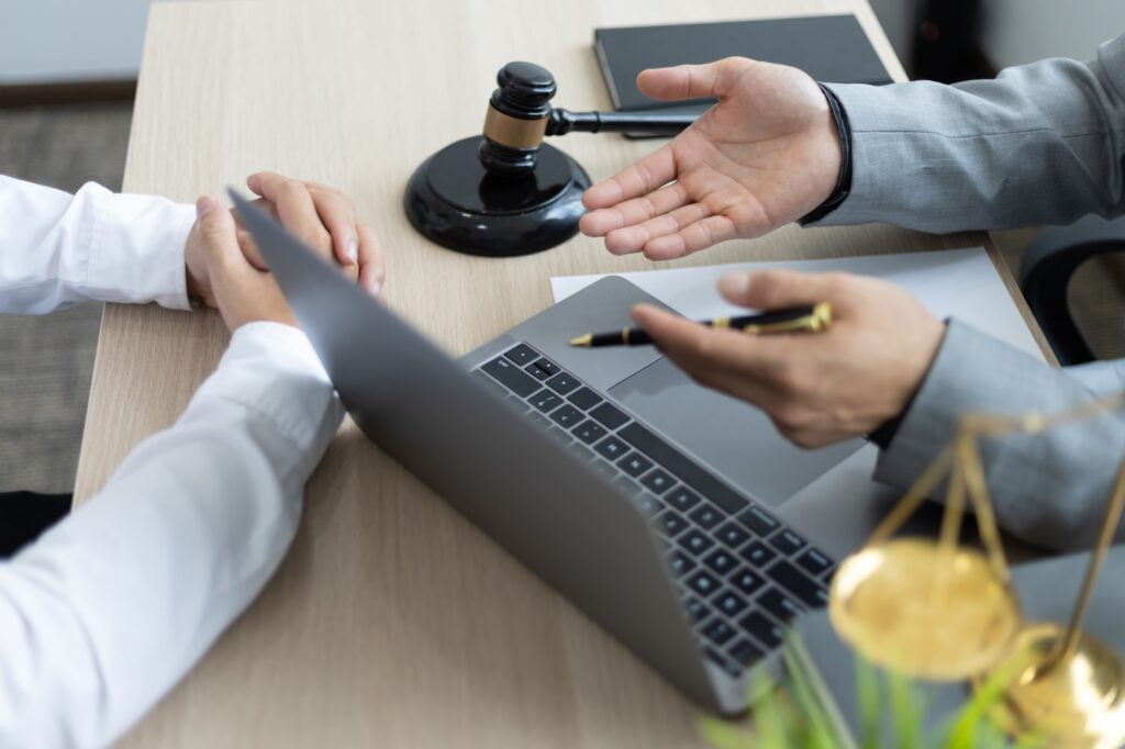 Lawyers provide legal advice to clients.